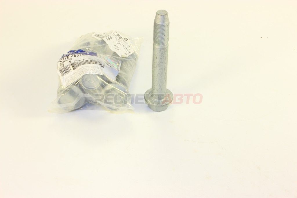 Болт задней подвески (в продольный рычаг)