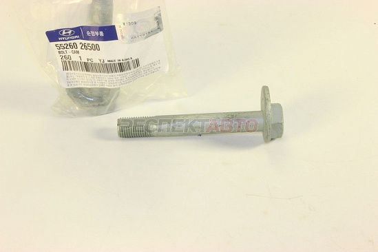 Болт сход-развал задней подвески (в поперечный рычаг)