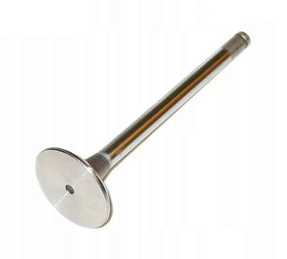 Клапан впускной