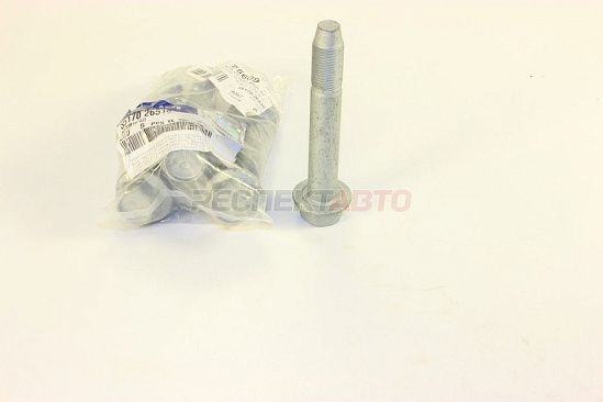 Болт задней подвески (в продольный рычаг)