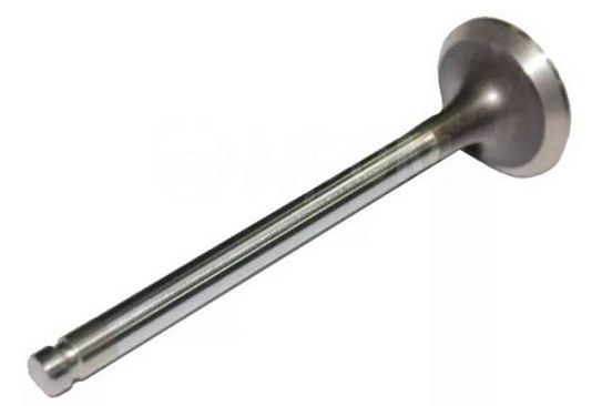 Клапан впускной