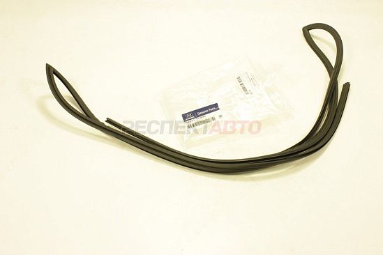 Молдинг стекла лобового