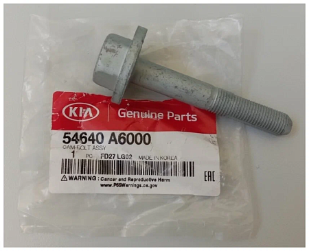 Болт рычага заднего поперечного (переднего, развальный)