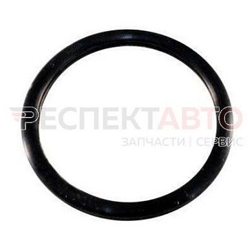 Прокладка термостата